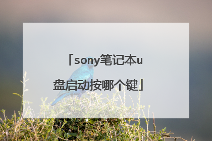 sony笔记本u盘启动按哪个键