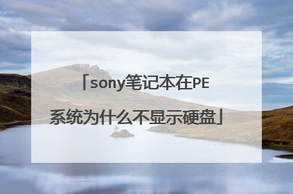 sony笔记本在PE系统为什么不显示硬盘
