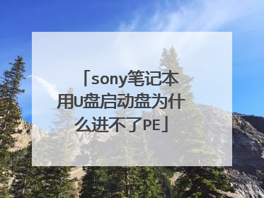 sony笔记本用U盘启动盘为什么进不了PE