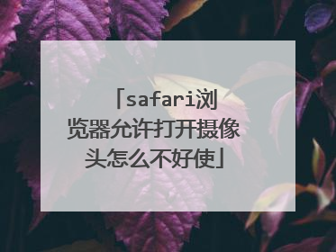 safari浏览器允许打开摄像头怎么不好使
