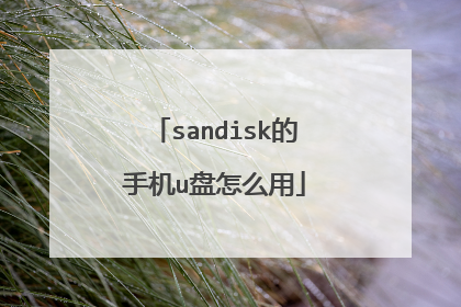sandisk的手机u盘怎么用