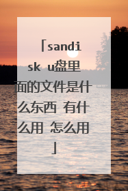 sandisk u盘里面的文件是什么东西 有什么用 怎么用