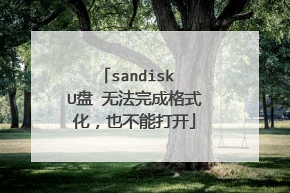 sandisk U盘 无法完成格式化,也不能打开