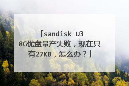 sandisk U3 8G优盘量产失败,现在只有27KB,怎么办?