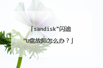 sandisk