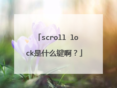 scroll lock是什么键啊？