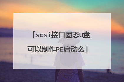 scsi接口固态U盘可以制作PE启动么
