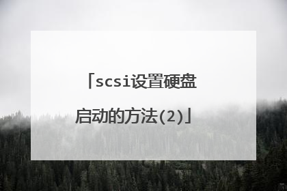 scsi设置硬盘启动的方法(2)