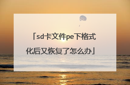 sd卡文件pe下格式化后又恢复了怎么办