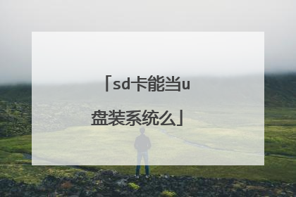sd卡能当u盘装系统么