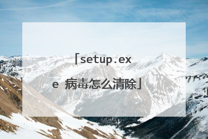 setup.exe 病毒怎么清除