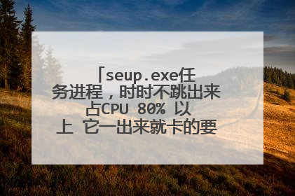 seup.exe任务进程,时时不跳出来占CPU 80% 以上 它一出来就卡的要命。请问下是什么?