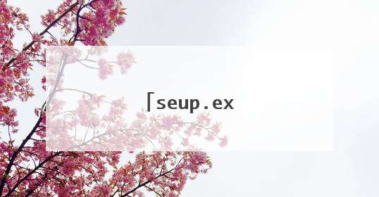 seup.exe是啥程序?