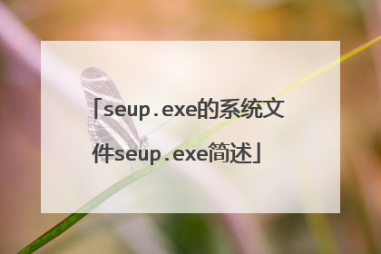seup.exe的系统文件seup.exe简述