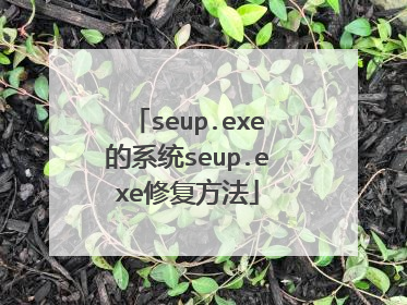 seup.exe的系统seup.exe修复方法