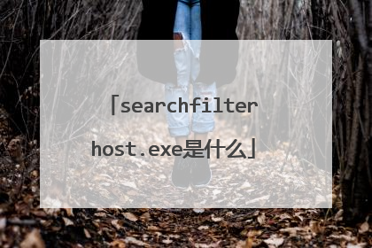 searchfilterhost.exe是什么