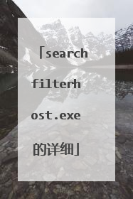 searchfilterhost.exe的详细