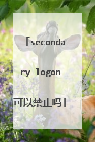secondary logon可以禁止吗