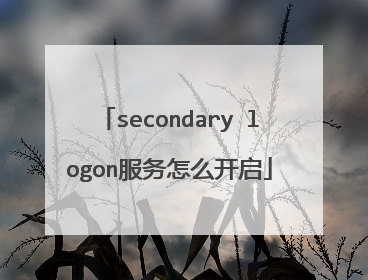 secondary logon服务怎么开启
