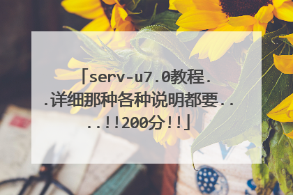 serv-u7.0教程..详细那种各种说明都要....!!200分!!