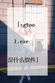 sgtool.exe 是什么软件