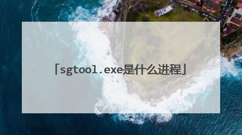 sgtool.exe是什么进程