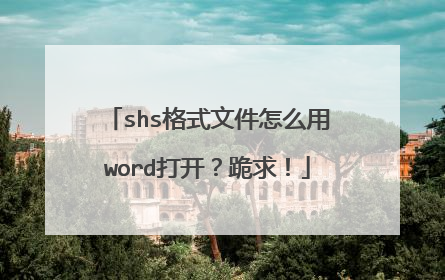 shs格式文件怎么用word打开?跪求!