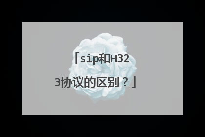 sip和H323协议的区别？