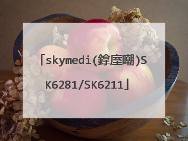 skymedi(鎿庢嘲)SK6281/SK6211