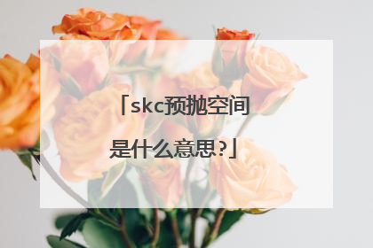 skc预抛空间是什么意思?