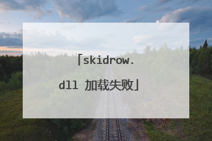 skidrow.dll 加载失败