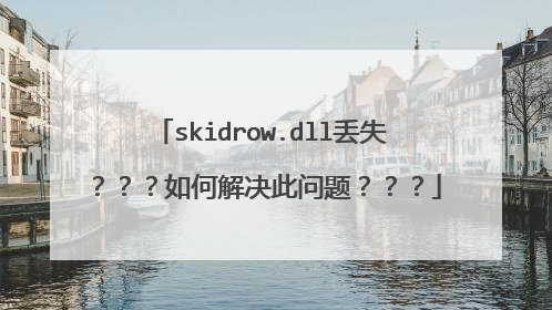 skidrow.dll丢失???如何解决此问题???