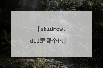 skidrow.dll是哪个包