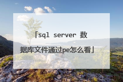sql server 数据库文件通过pe怎么看