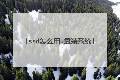 ssd怎么用u盘装系统