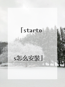 startos怎么安装