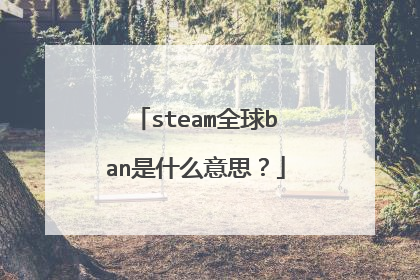 steam全球ban是什么意思?