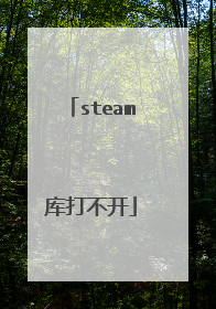 steam库打不开