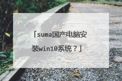 suma国产电脑安装win10系统?