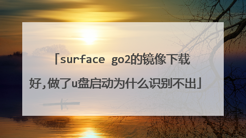 surface go2的镜像下载好,做了u盘启动为什么识别不出