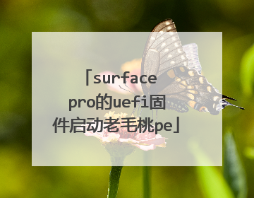 surface pro的uefi固件启动老毛桃pe