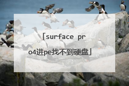 surface pro4进pe找不到硬盘
