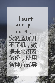 surface pro 4,突然蓝屏开不了机,数据未来得及备份,使用各种方式导入,都找不到硬盘