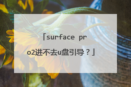 surface pro2进不去u盘引导?