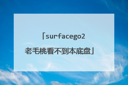 surfacego2老毛桃看不到本底盘