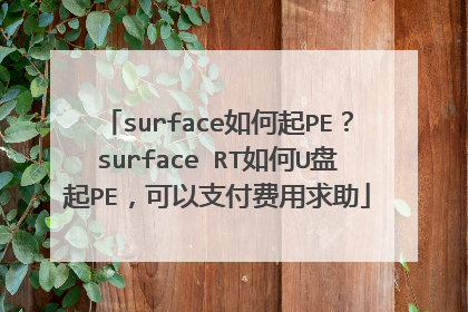 surface如何起PE?surface RT如何U盘起PE,可以支付费用求助