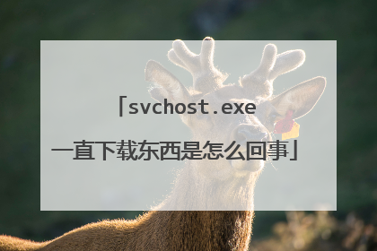 svchost.exe一直下载东西是怎么回事