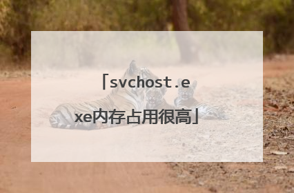 svchost.exe内存占用很高