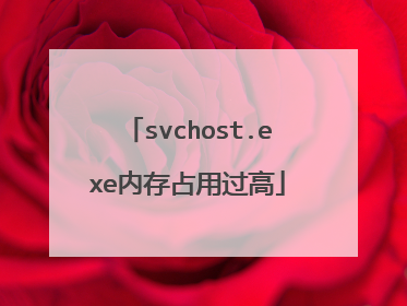 svchost.exe内存占用过高