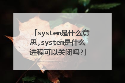 system是什么意思,system是什么进程可以关闭吗?